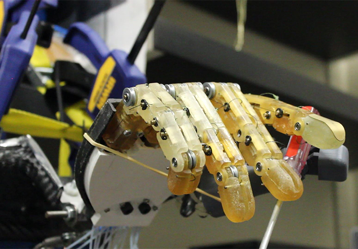 Photograph of Professor Schultz's robotic hand.