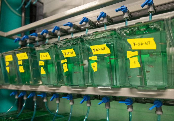 Photograph of pressure chambers in Mika's lab